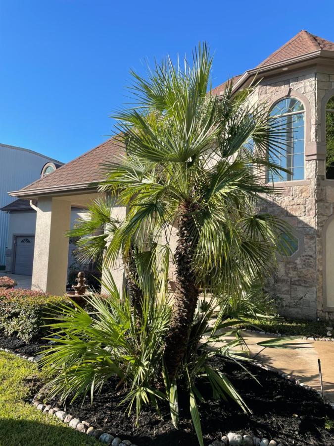 Luxuria Mini-Mansion Near Houston Downtown Villa Ngoại thất bức ảnh